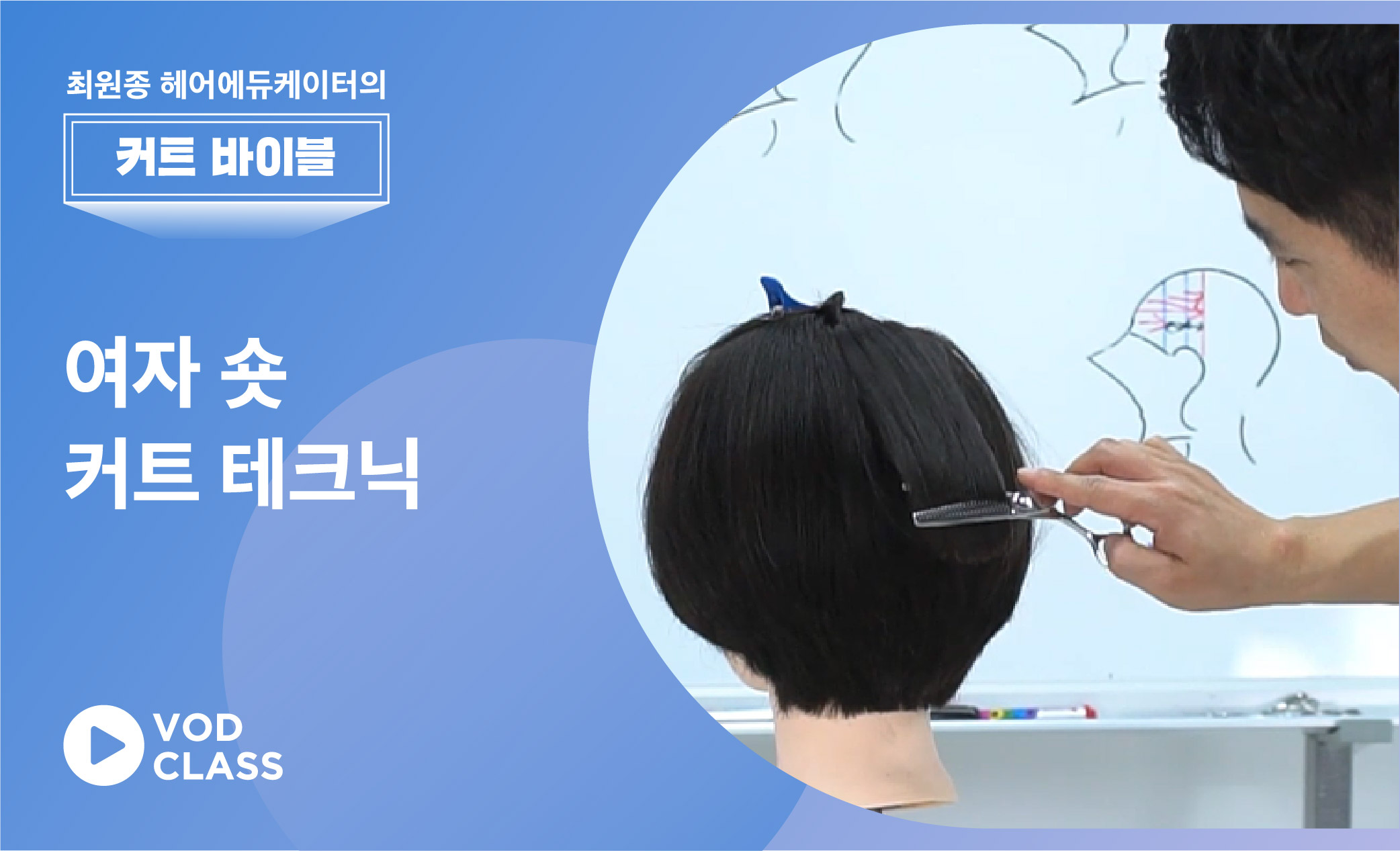 강좌이미지
